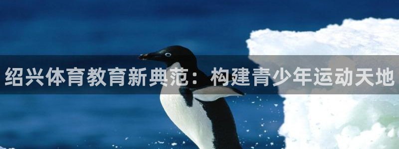 vsport体育官网下载招商电话:绍兴体育教育新典范:构建青