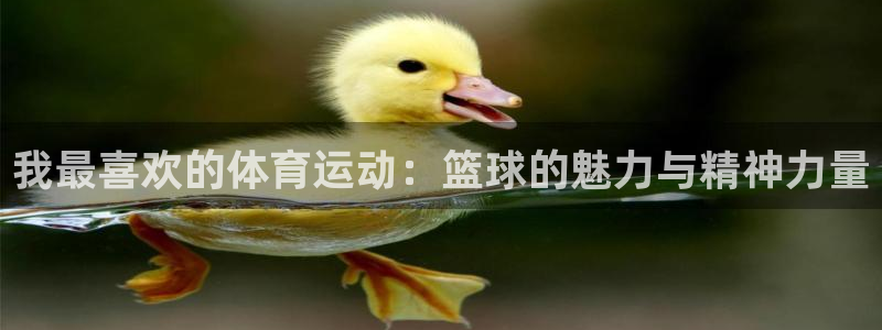 海南vsport体育官网下载:我最喜欢的体育运动:篮球的魅力