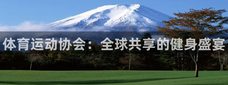 注册vsport体育官方正版app:体育运动协会:全球共享的