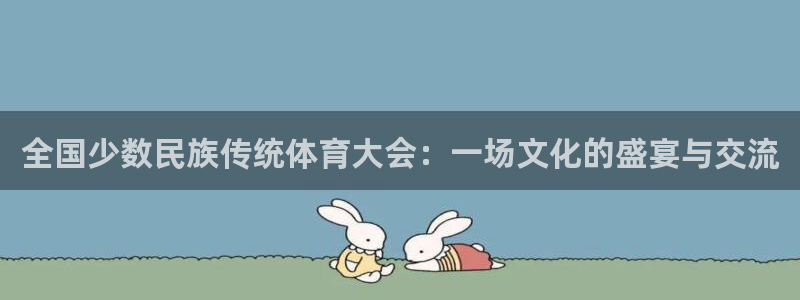 vsport体育官方正版app集团:全国少数民族传统体育大会