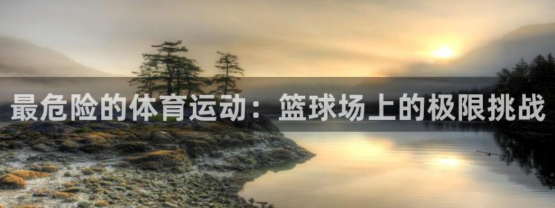 vsport体育官方正版app新能源:最危险的体育运动:篮球