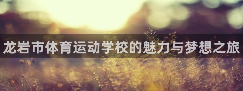 vsport体育官方正版app娱乐平台:龙岩市体育运动学校的