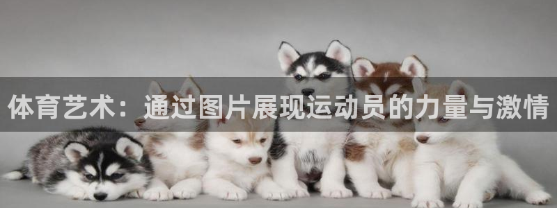 vsport体育官方正版app五金厂:体育艺术:通过图片展现